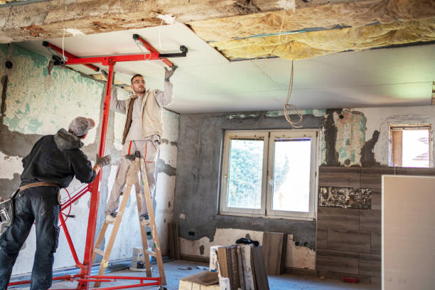 Best Residential Insulation in Capac, MI