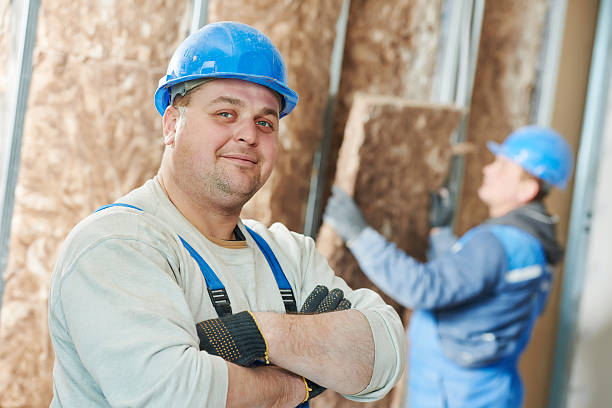 Best Types of Insulation in Capac, MI