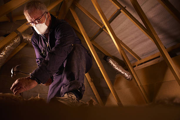 Best Residential Insulation in Capac, MI